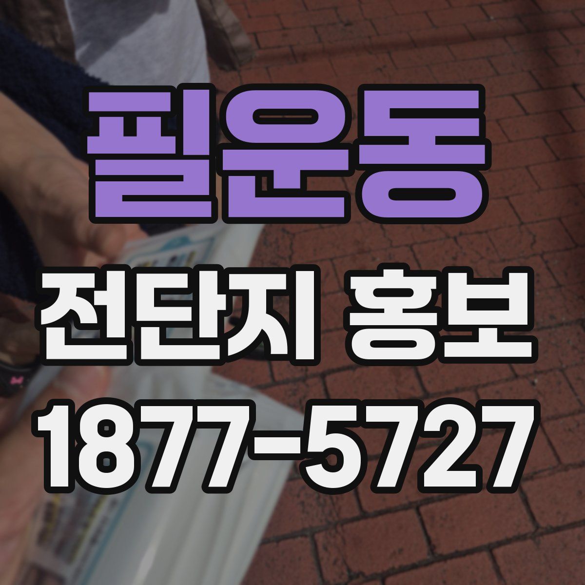 필운동 전단지 홍보