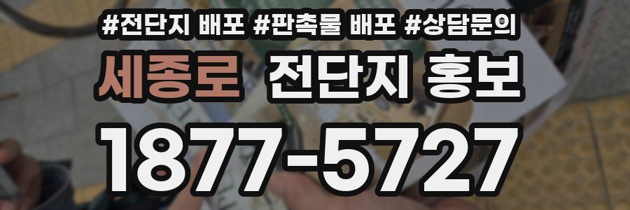 세종로 전단지 홍보