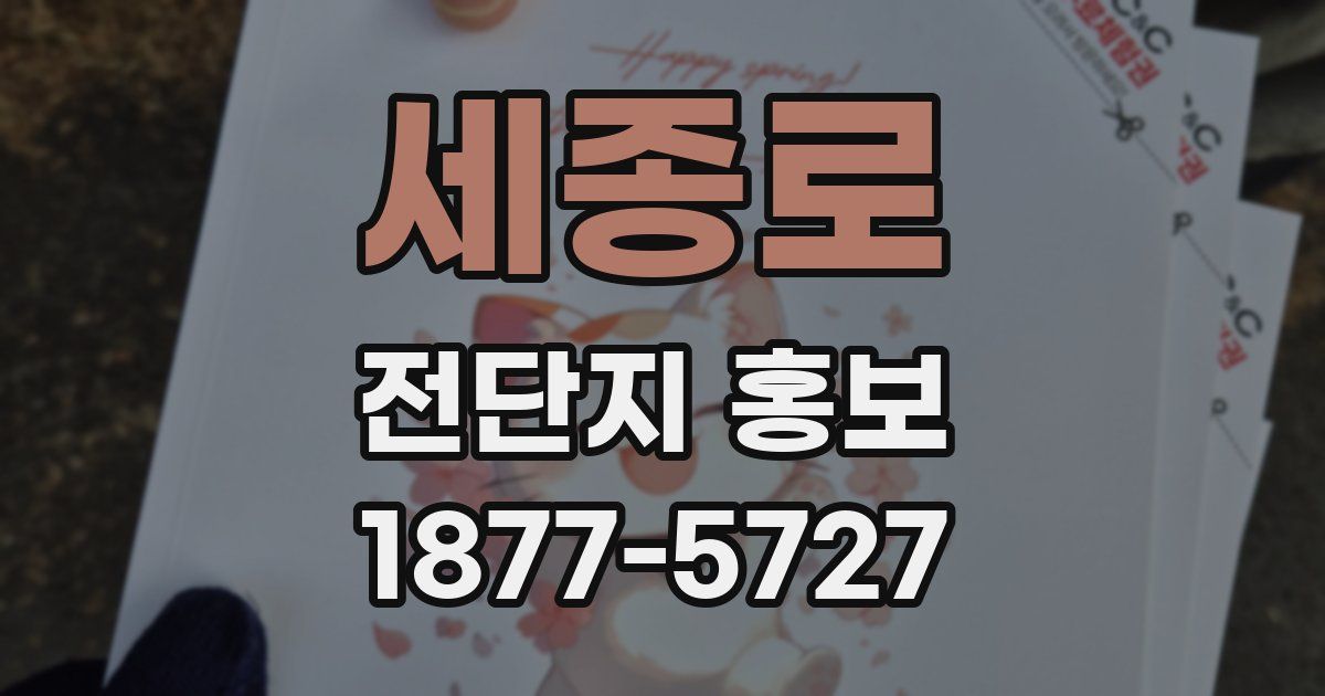 세종로 전단지 홍보