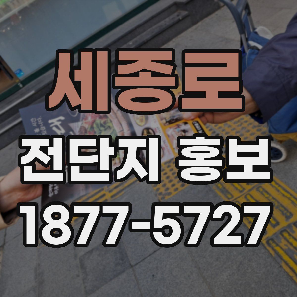 세종로 전단지 홍보
