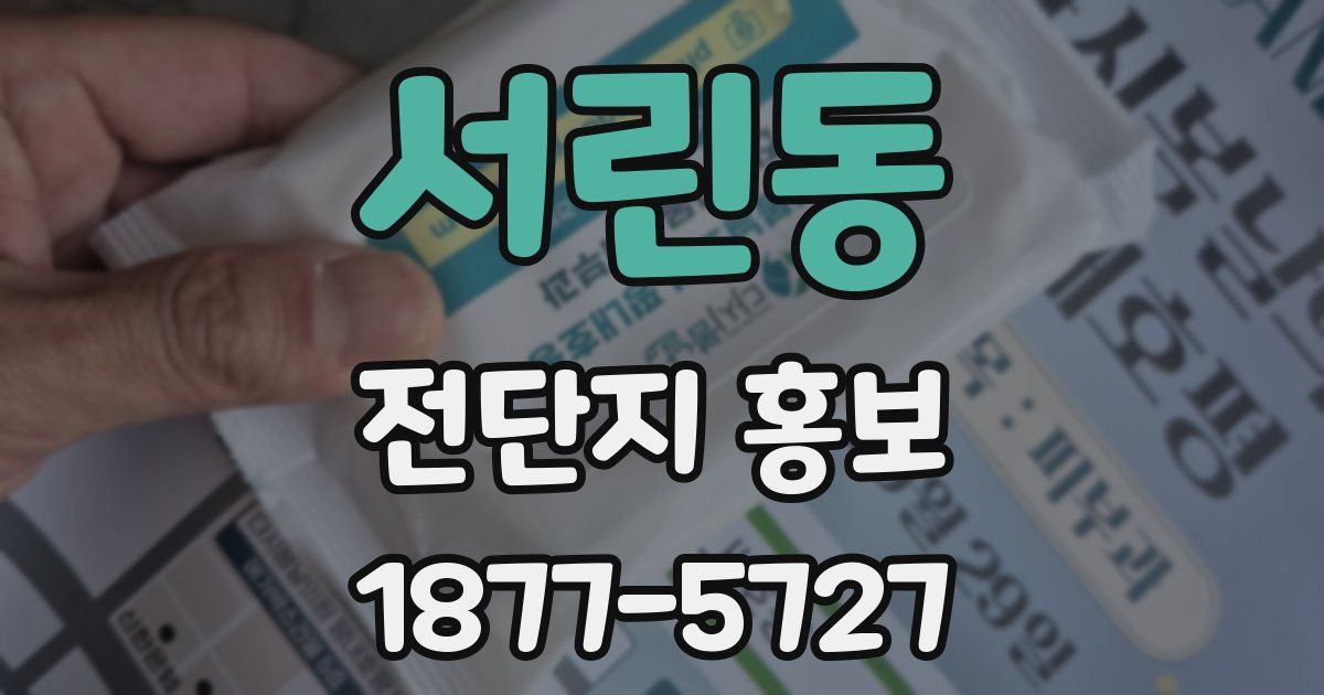 서린동 전단지 홍보