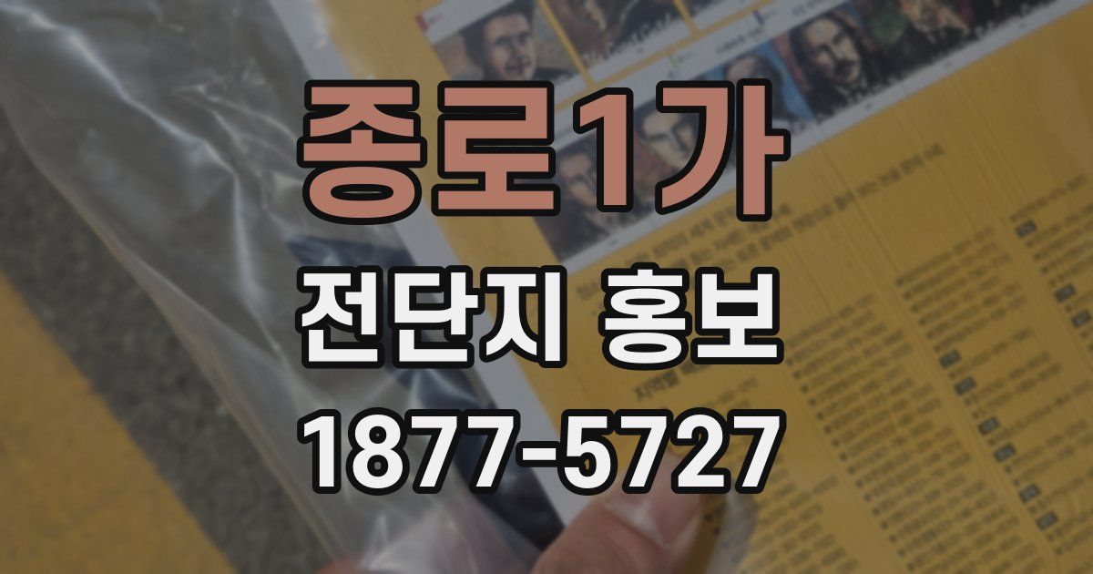 종로1가 전단지 홍보