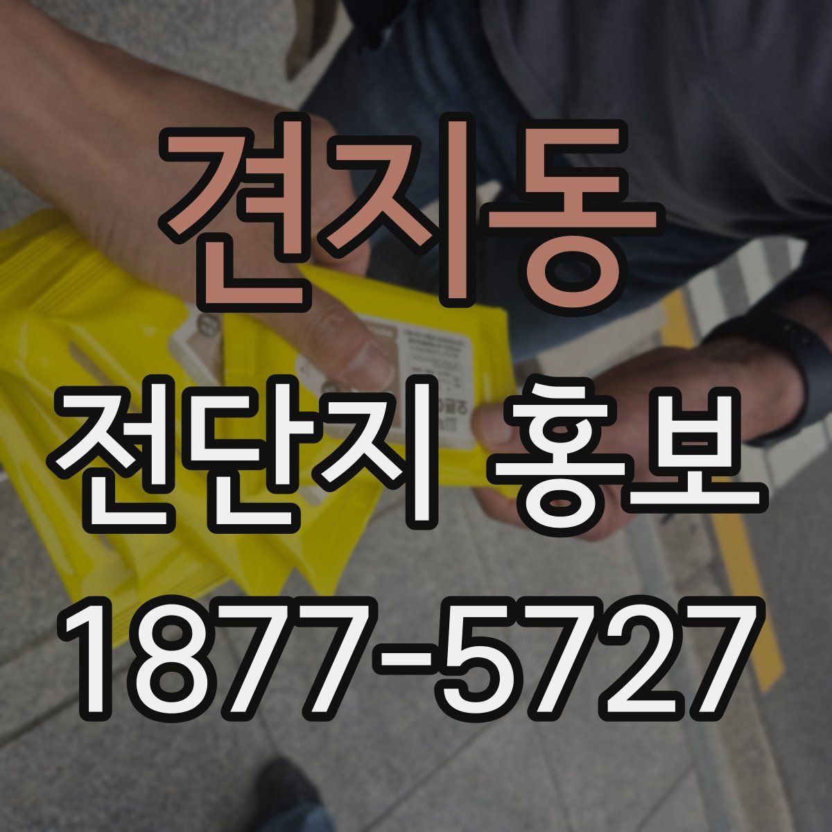 견지동 전단지 홍보