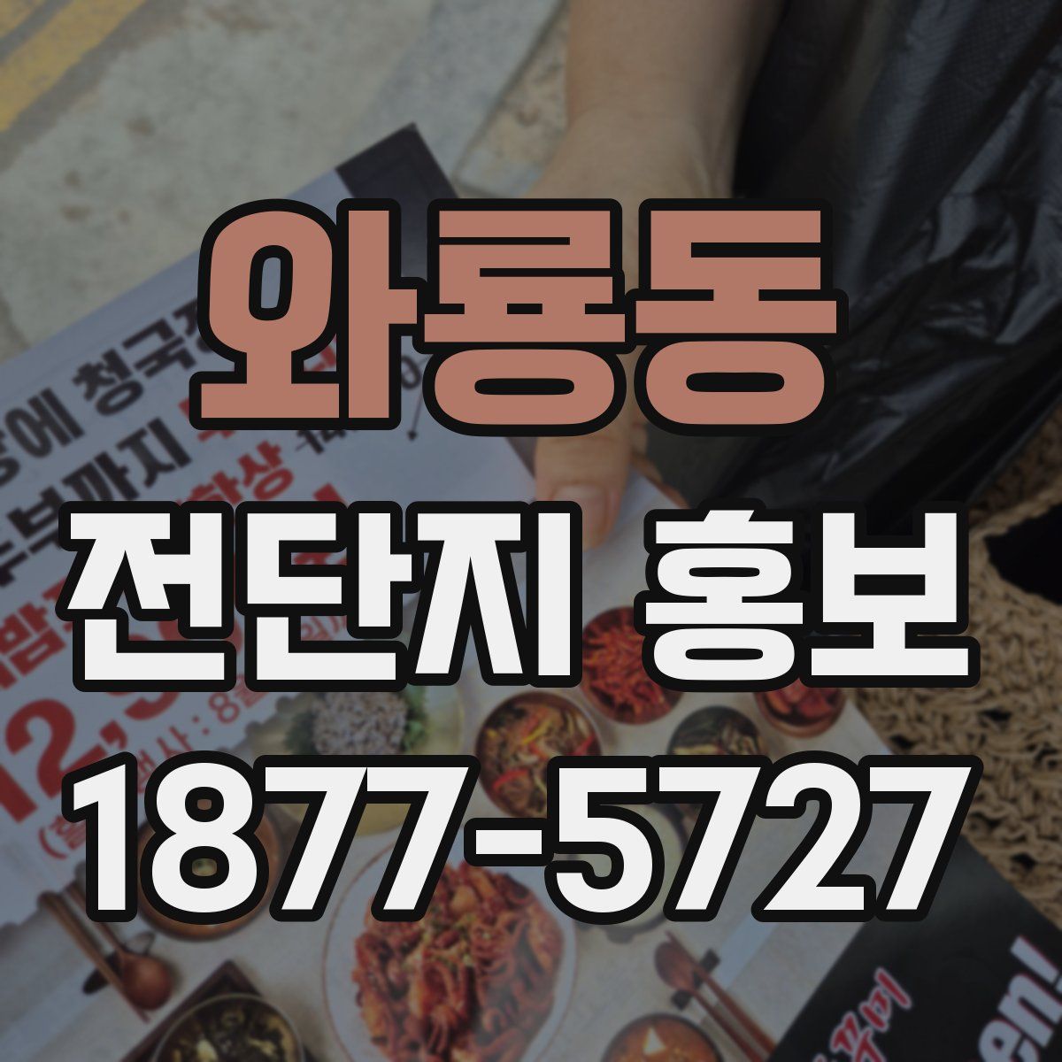 와룡동 전단지 홍보