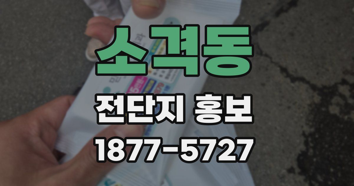 소격동 전단지 홍보