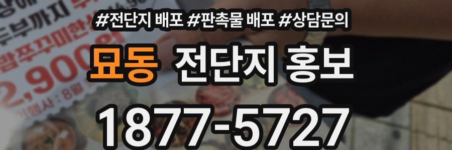 묘동 전단지 홍보