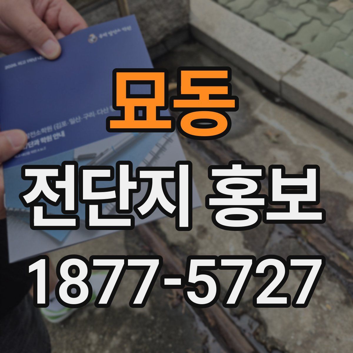 묘동 전단지 홍보