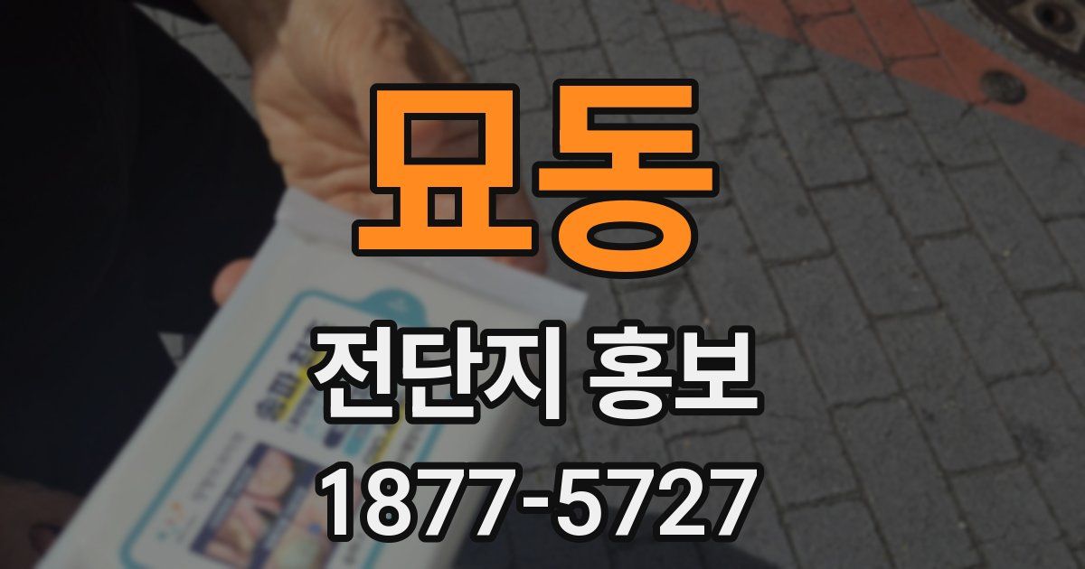묘동 전단지 홍보