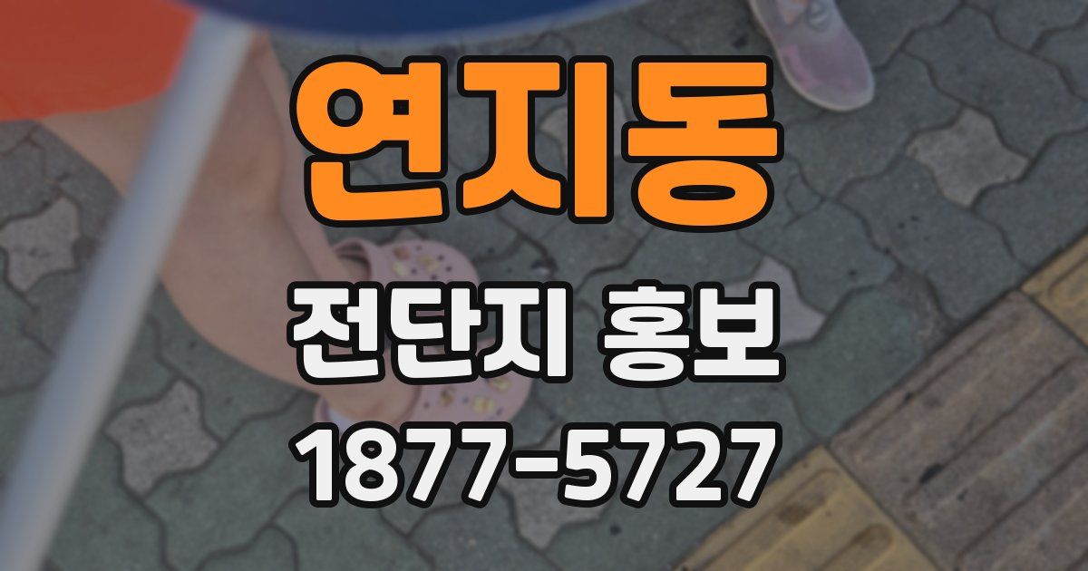 연지동 전단지 홍보