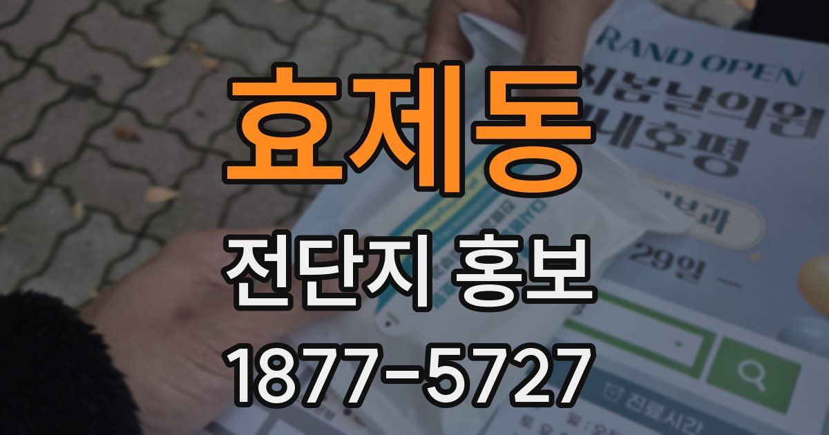 효제동 전단지 홍보