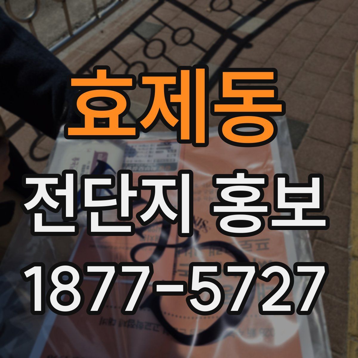효제동 전단지 홍보