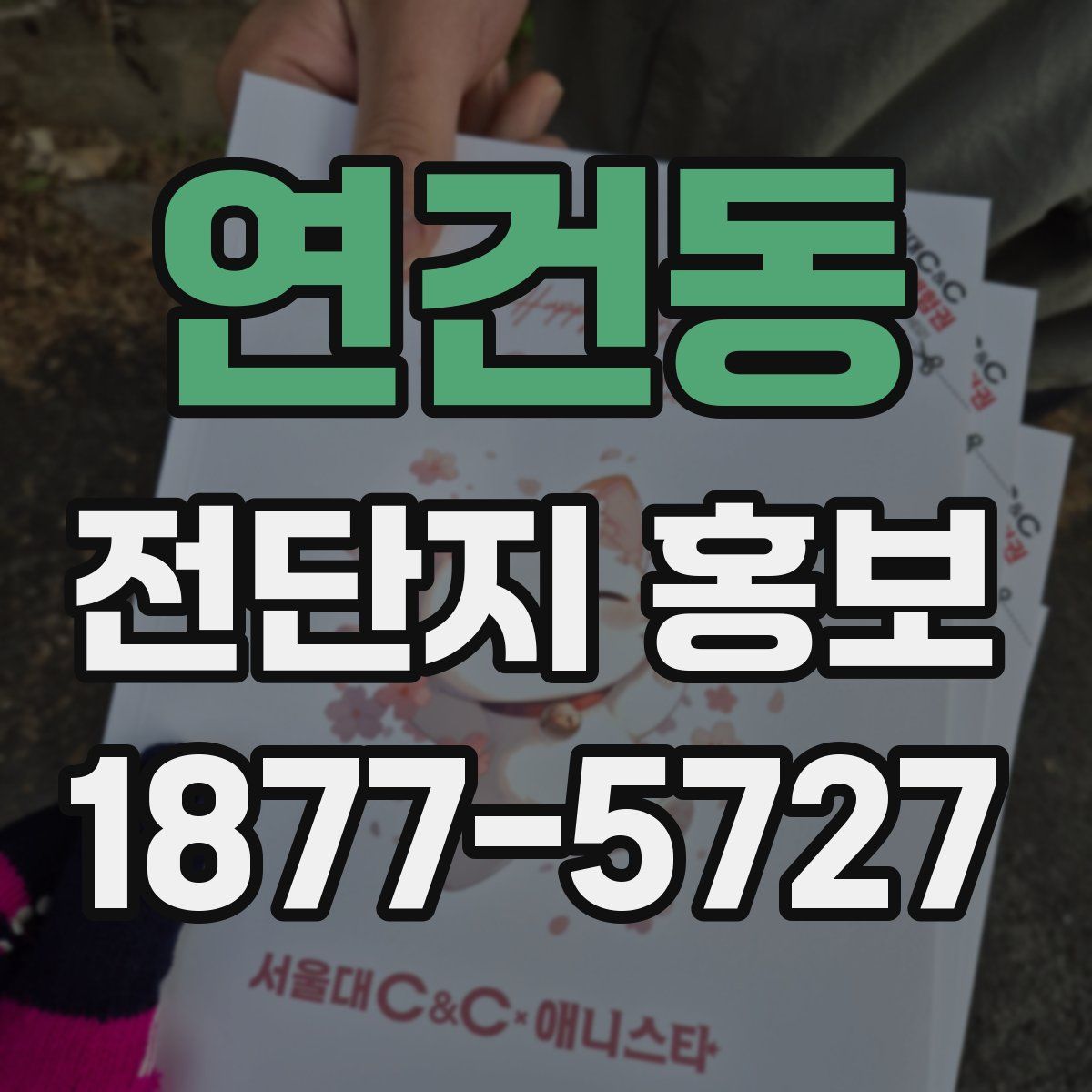 연건동 전단지 홍보