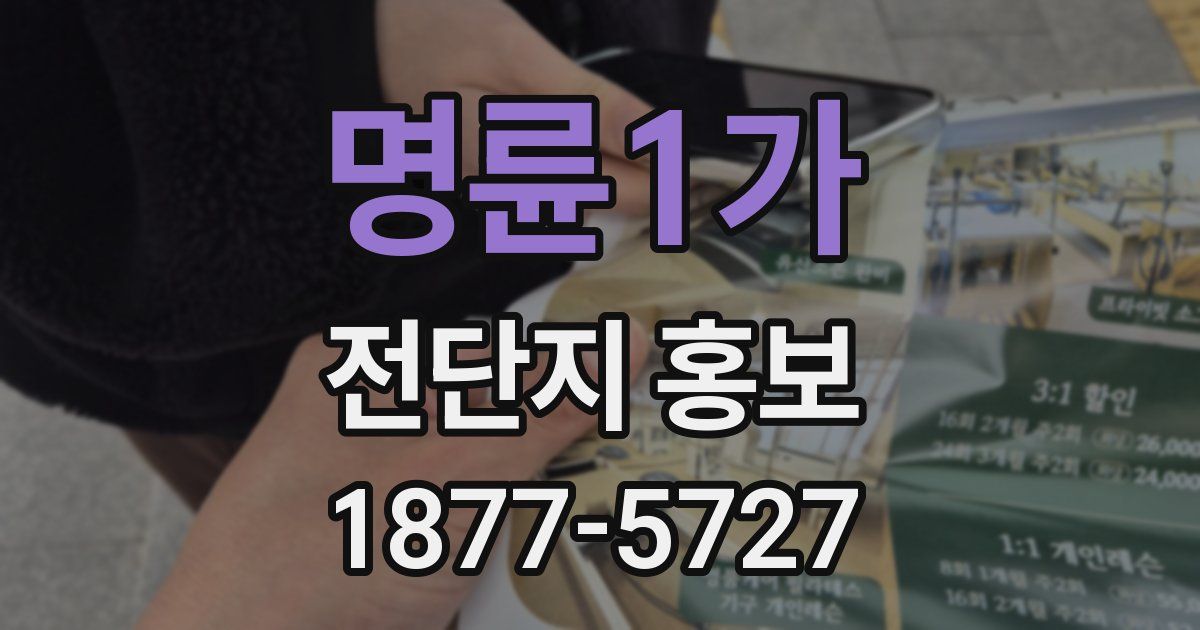 명륜1가 전단지 홍보