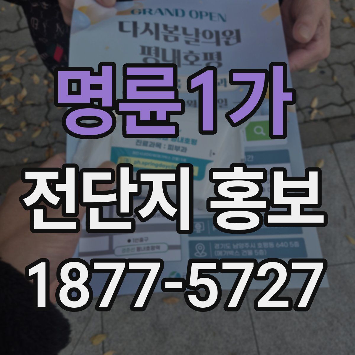 명륜1가 전단지 홍보