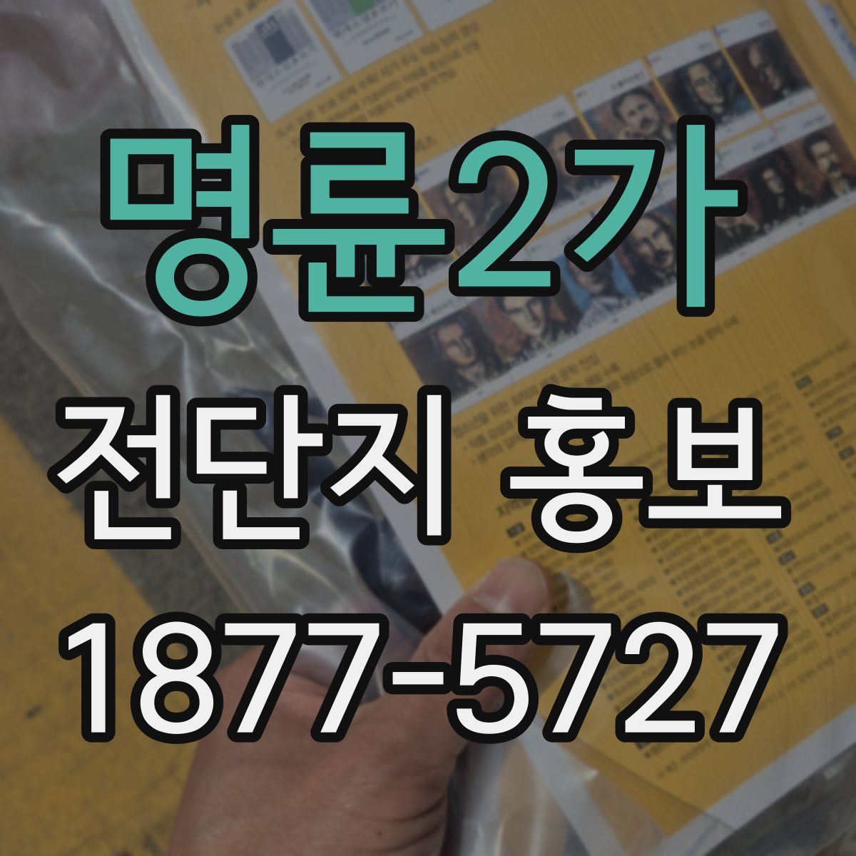 명륜2가 전단지 홍보