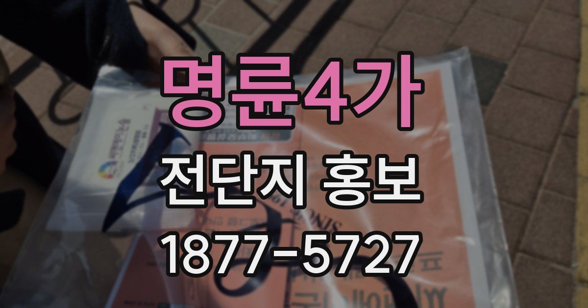 명륜4가 전단지 홍보
