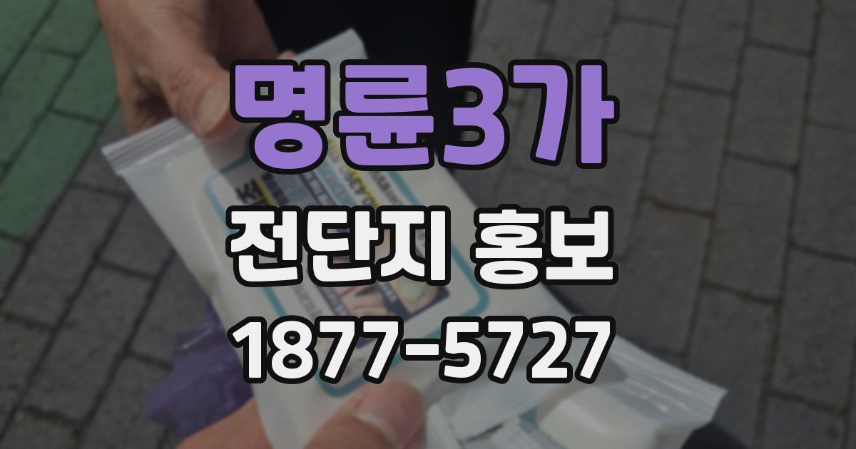 명륜3가 전단지 홍보