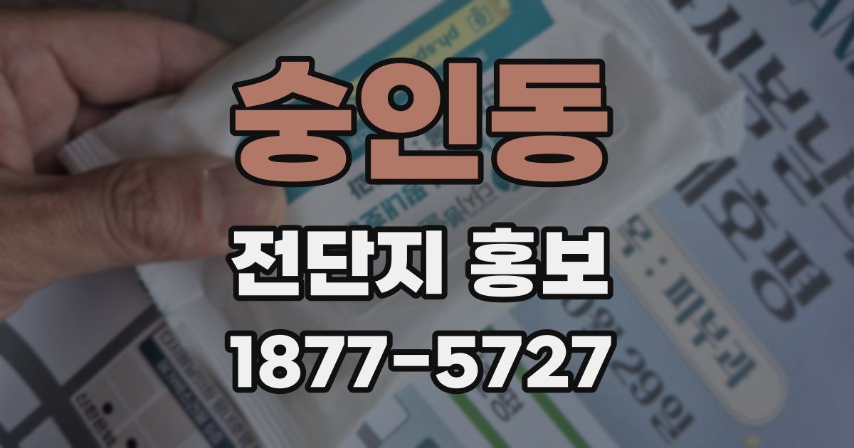 숭인동 전단지 홍보
