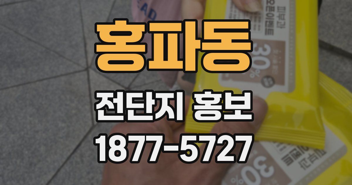 홍파동 전단지 홍보