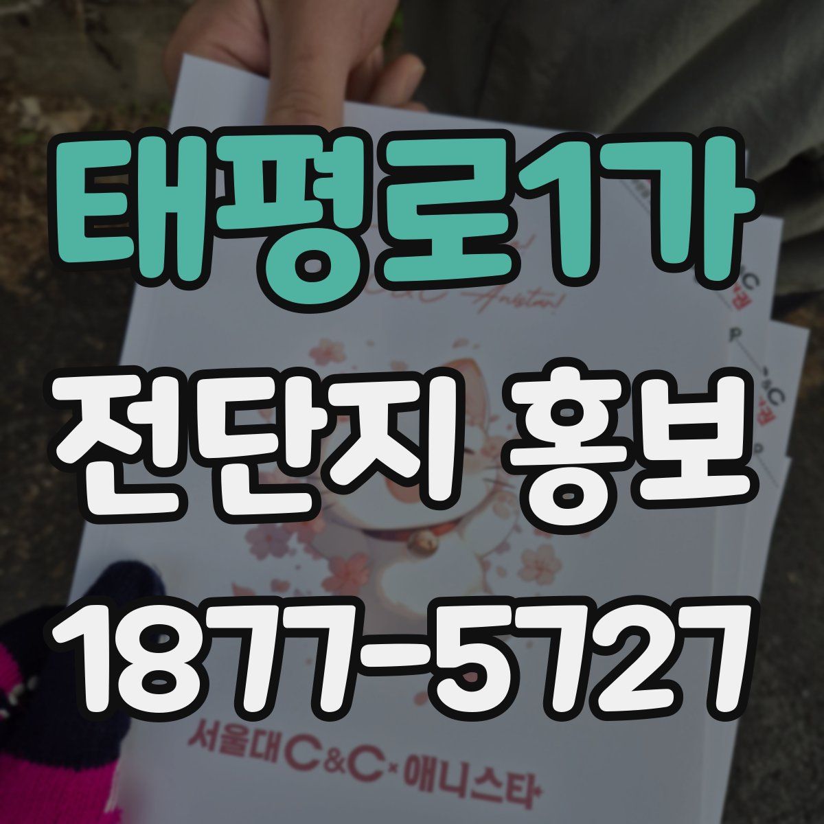 태평로1가 전단지 홍보