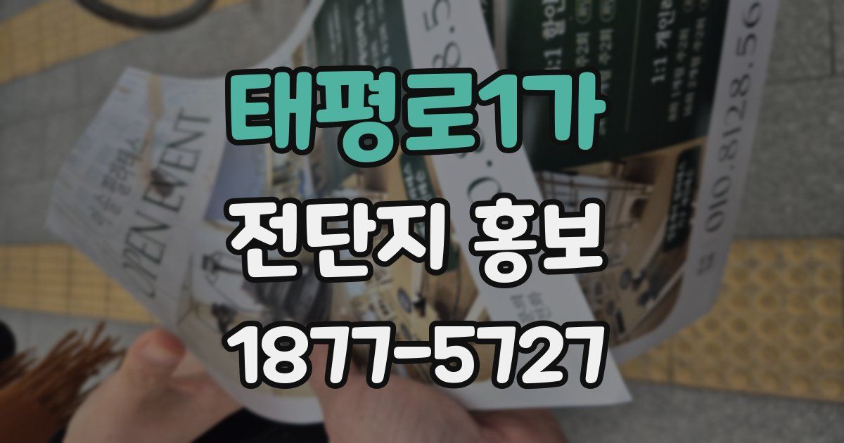 태평로1가 전단지 홍보