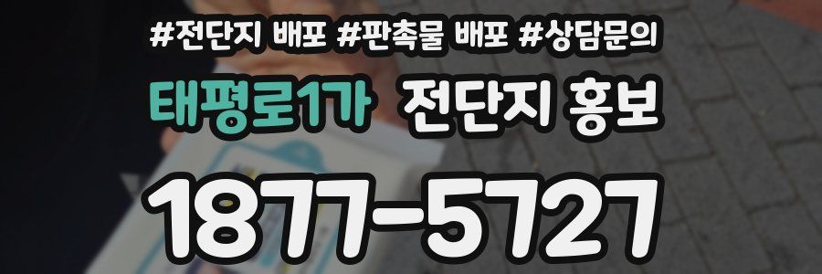 태평로1가 전단지 홍보