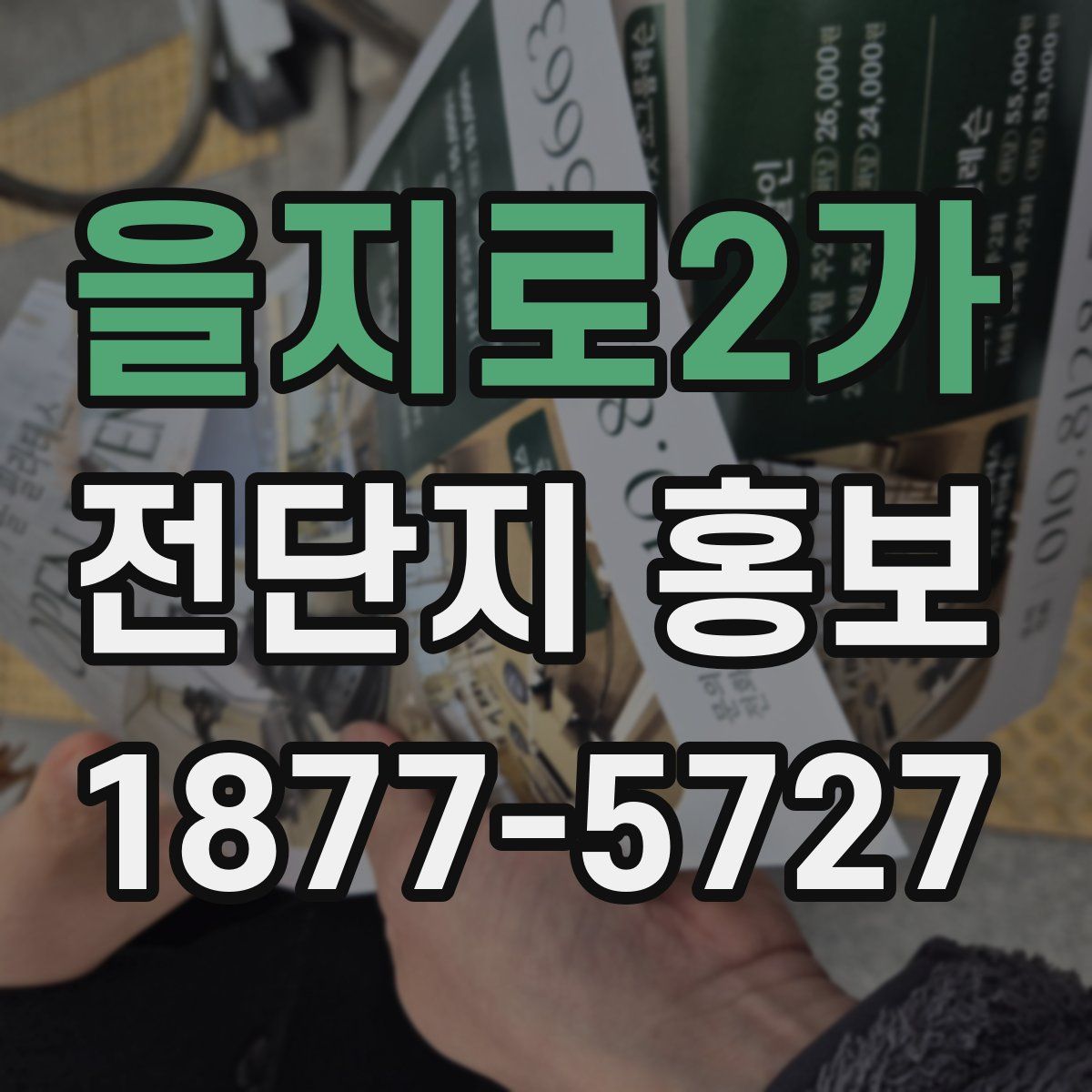 을지로2가 전단지 홍보