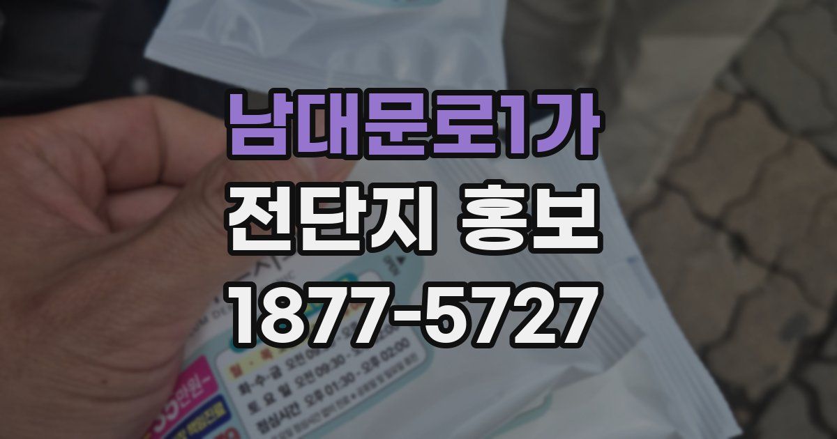 남대문로1가 전단지 홍보