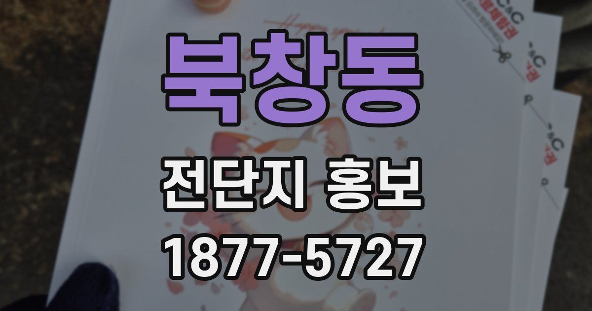 북창동 전단지 홍보