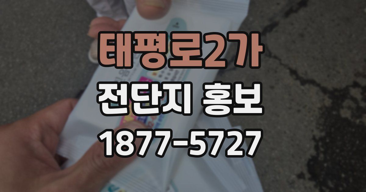 태평로2가 전단지 홍보