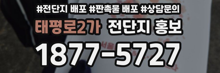 태평로2가 전단지 홍보