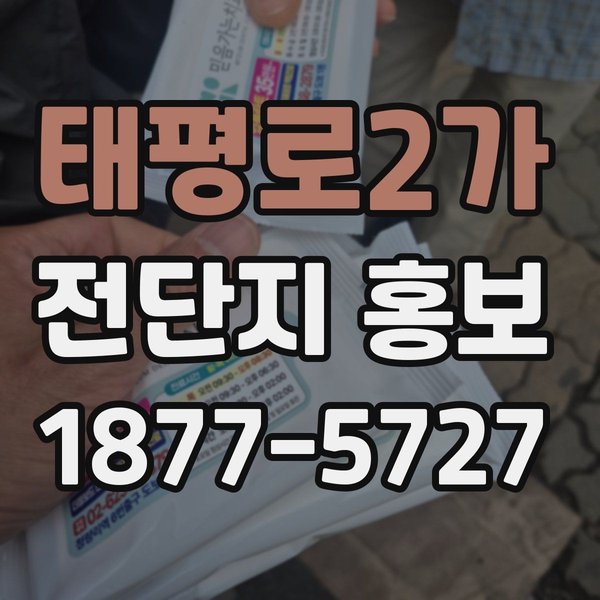 태평로2가 전단지 홍보