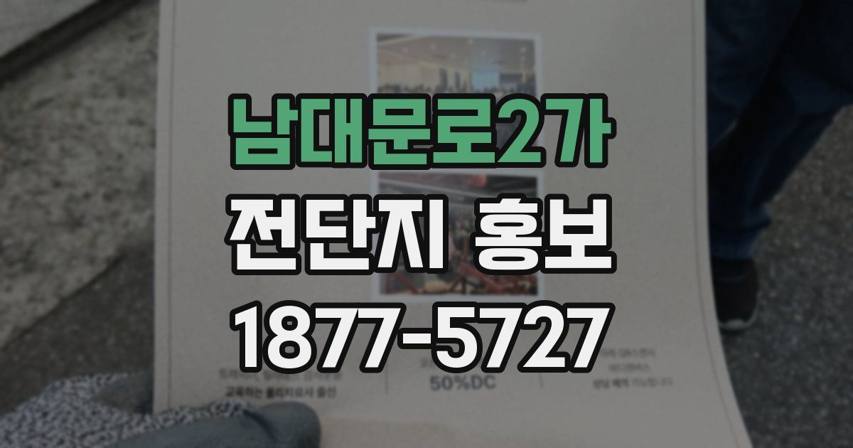 남대문로2가 전단지 홍보