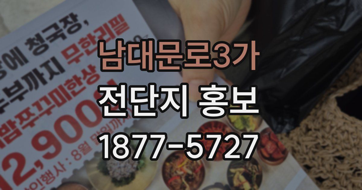 남대문로3가 전단지 홍보