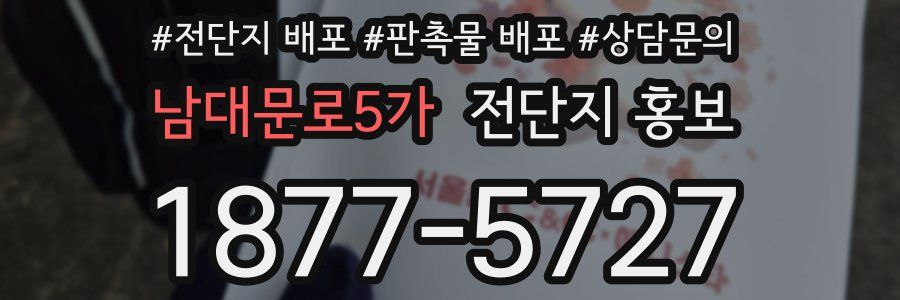 남대문로5가 전단지 홍보