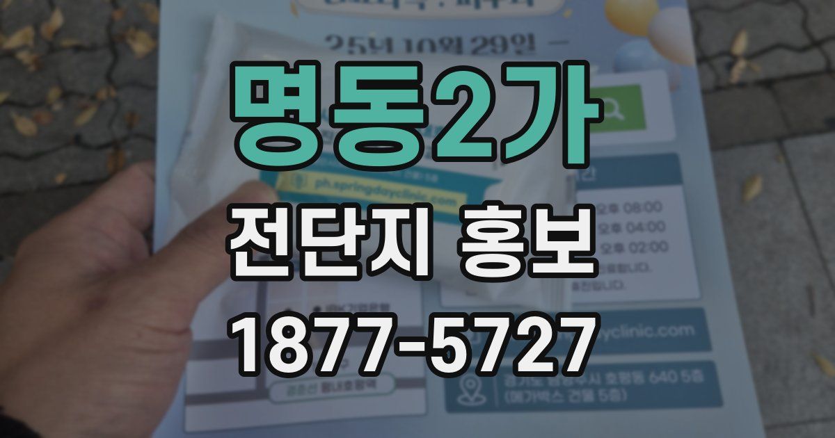 명동2가 전단지 홍보