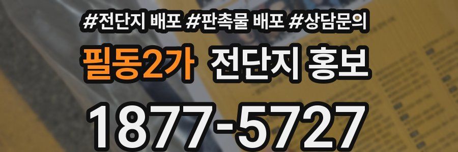 필동2가 전단지 홍보
