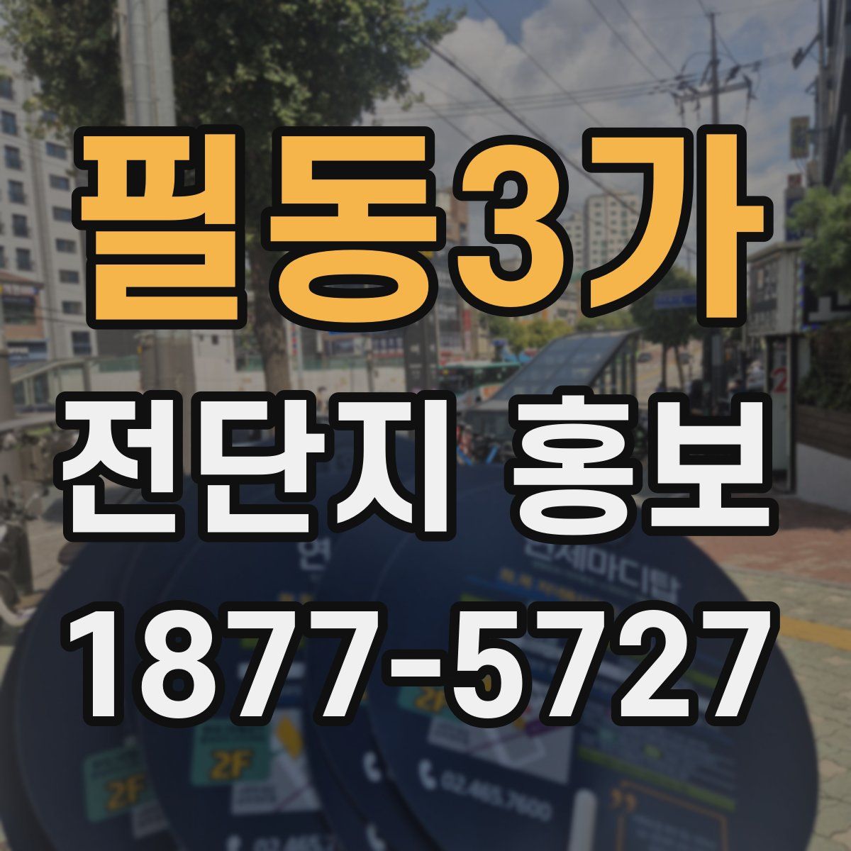 필동3가 전단지 홍보