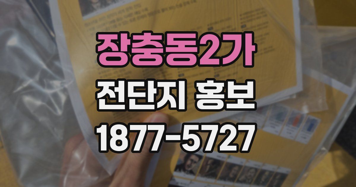 장충동2가 전단지 홍보