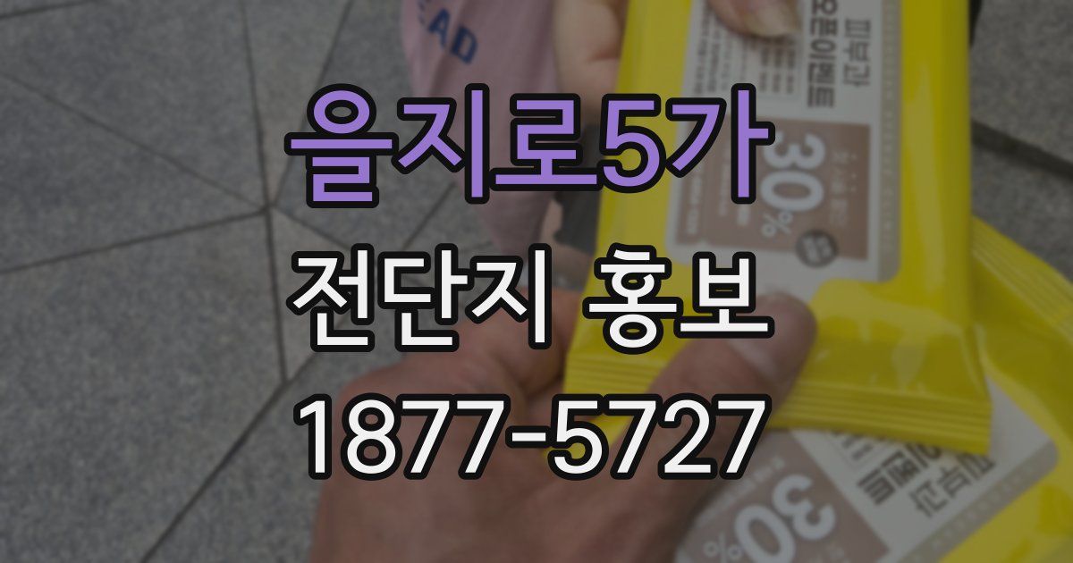 을지로5가 전단지 홍보