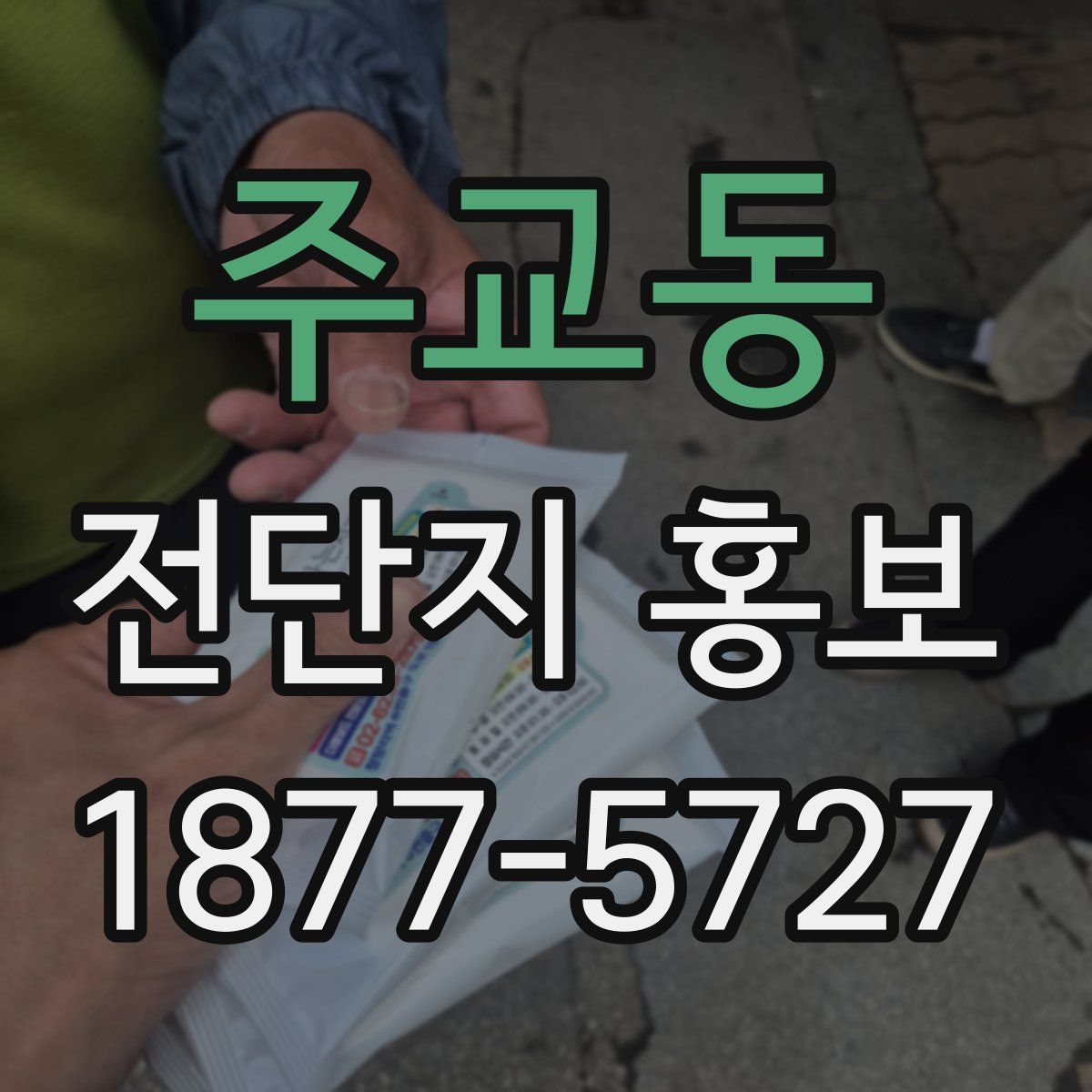 주교동 전단지 홍보