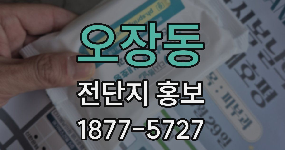 오장동 전단지 홍보