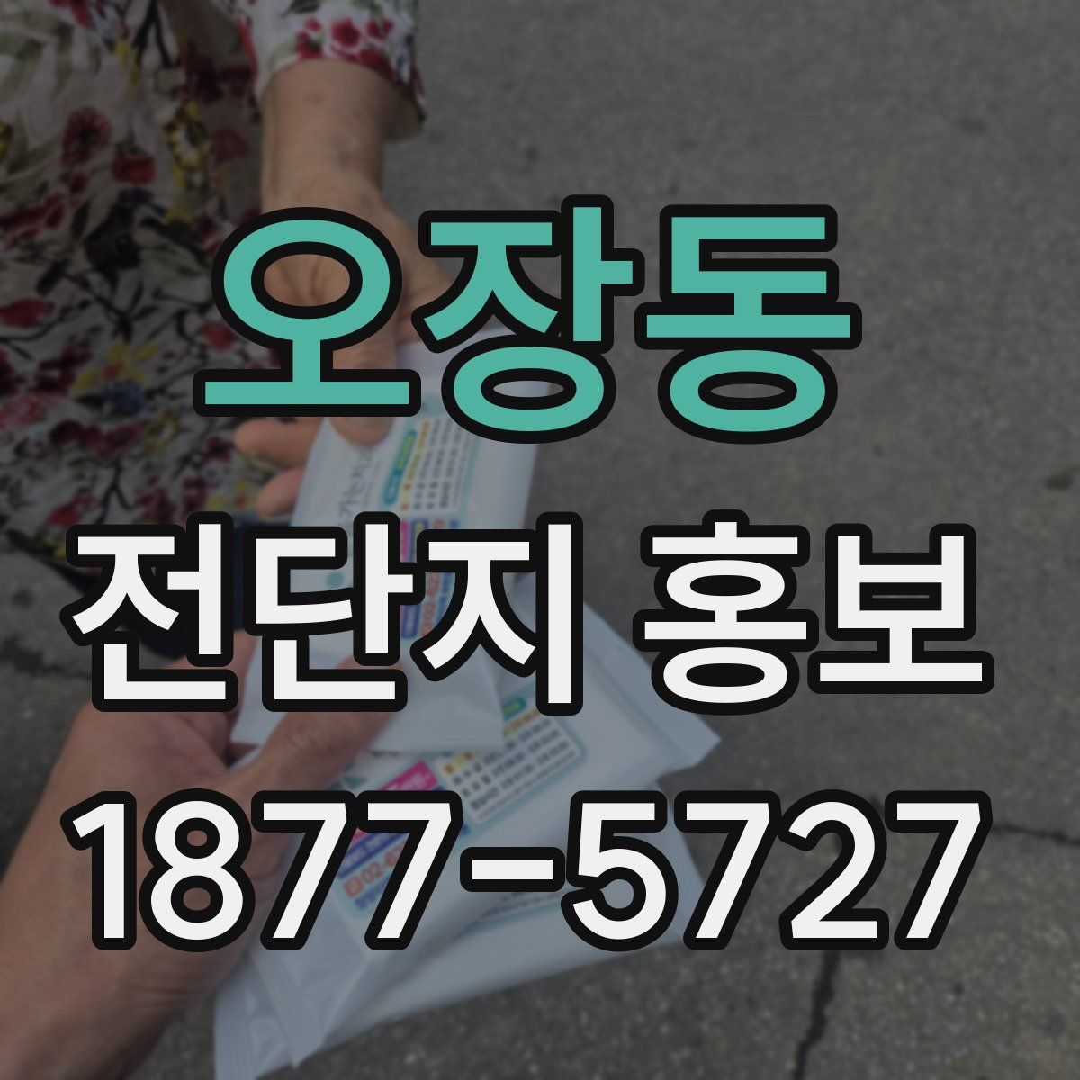 오장동 전단지 홍보