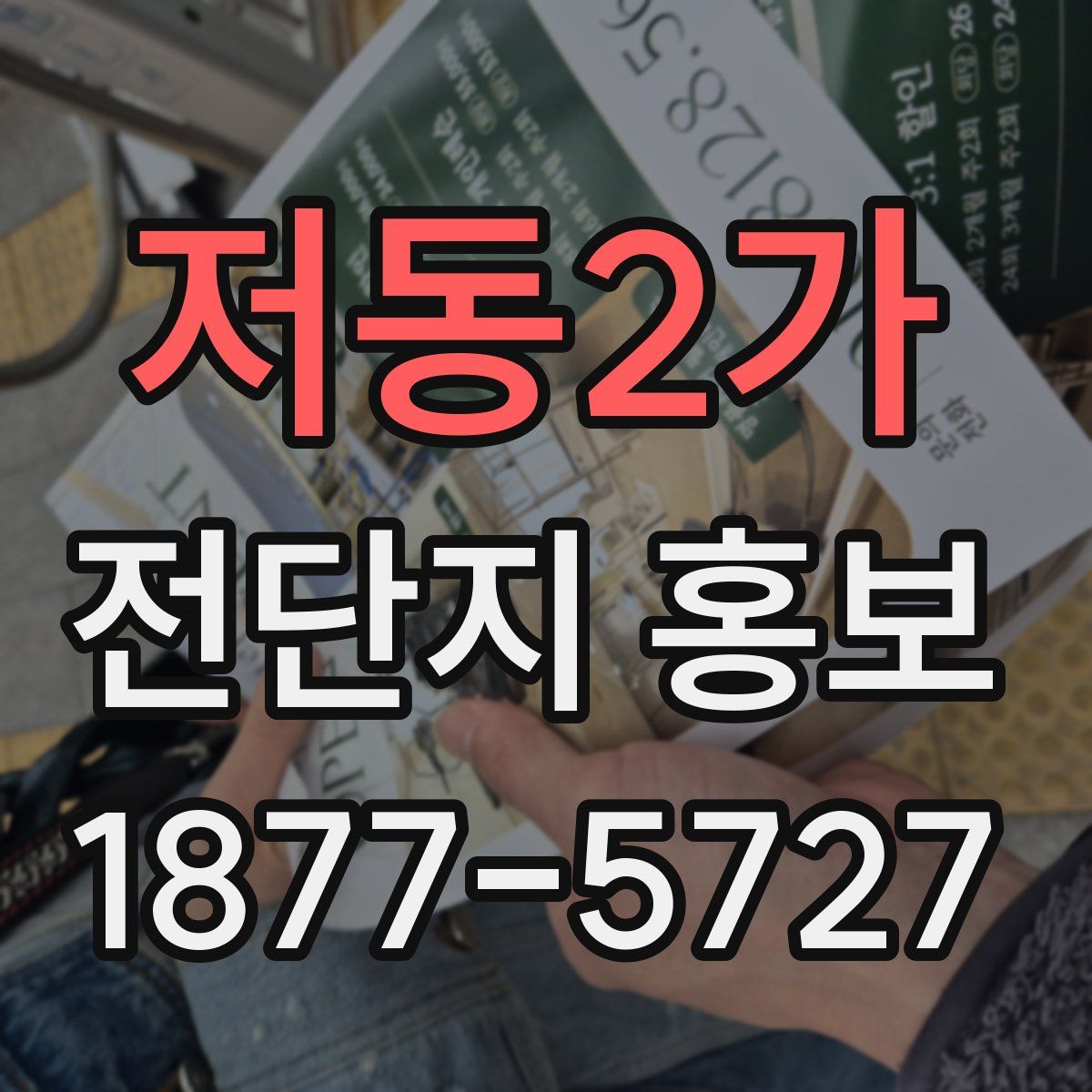 저동2가 전단지 홍보