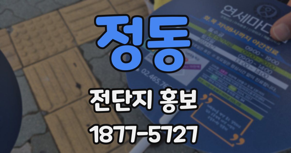 정동 전단지 홍보