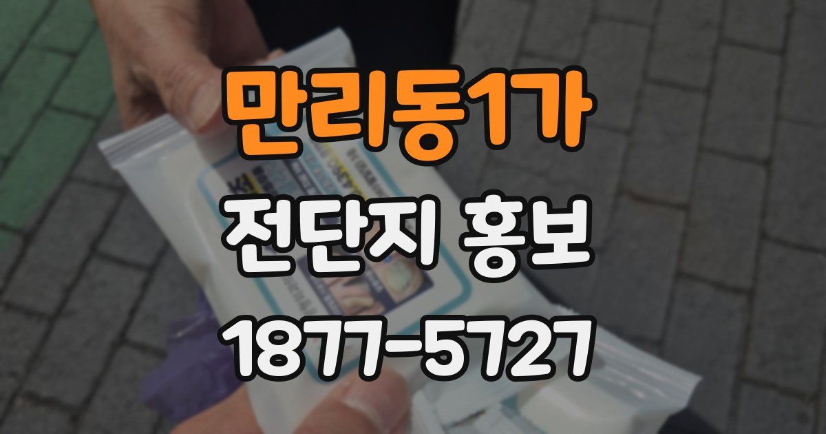 만리동1가 전단지 홍보