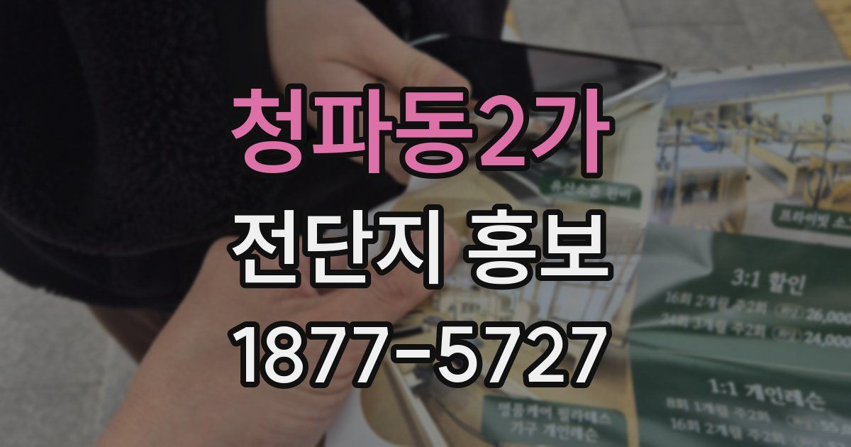 청파동2가 전단지 홍보