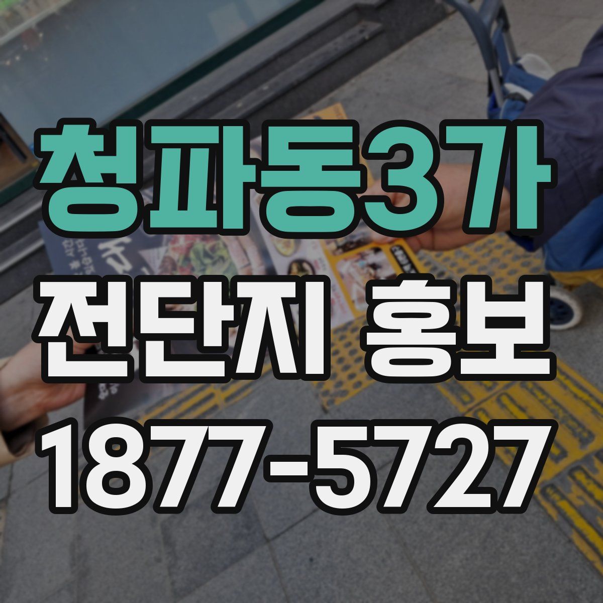 청파동3가 전단지 홍보