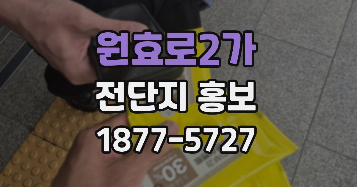원효로2가 전단지 홍보