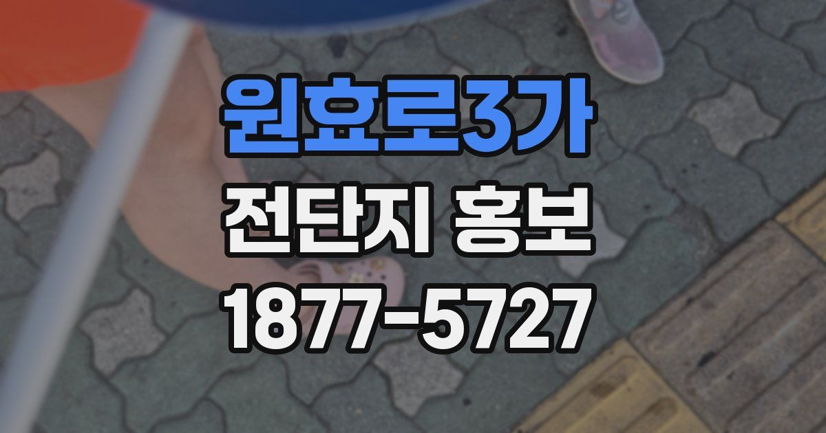 원효로3가 전단지 홍보